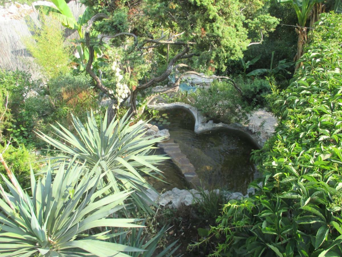 Relax Tiny 40 Meters Of The