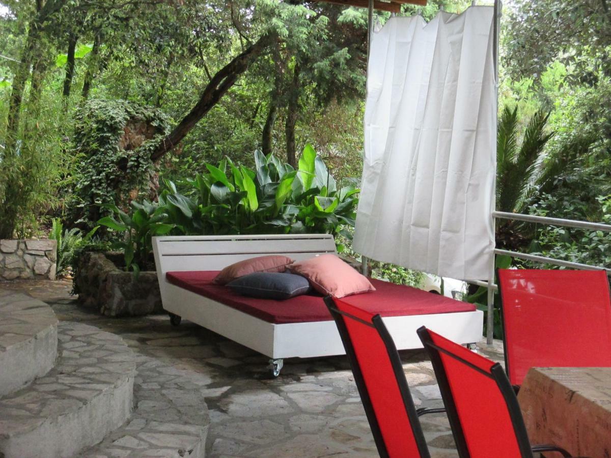 Relax Tiny 40 Meters Of The Zrnovo